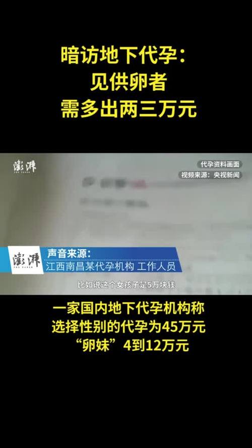 供卵一次多少钱-供卵一次多少钱?探讨代孕成本的关键因素
