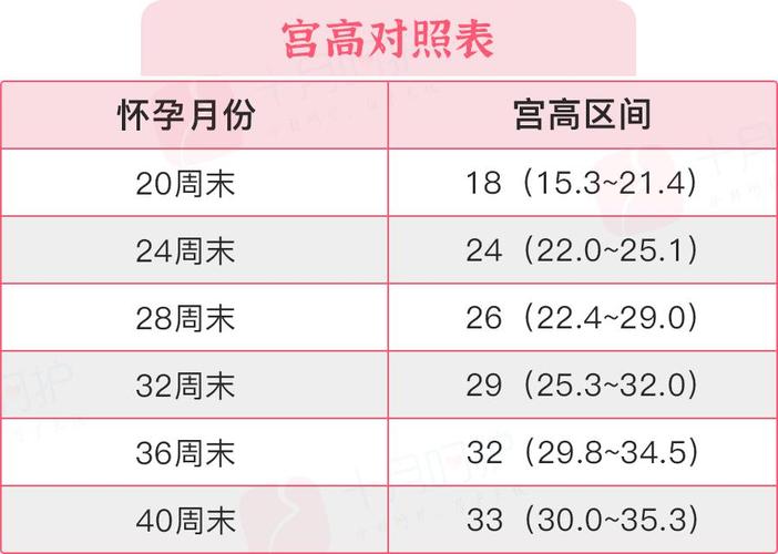 供卵女孩多少基础卵泡数较好【供卵女孩基础卵泡数多少才算较好？】
