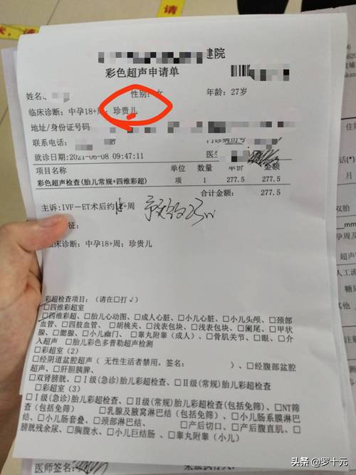 供卵供精做试管要多少钱_试管婴儿:供卵供精做试管要多少钱?