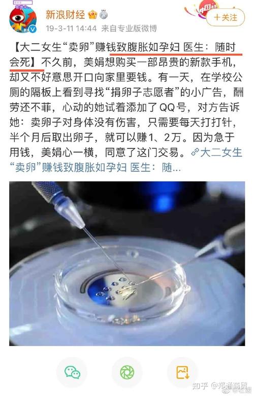 供卵多少钱?(供卵多少钱?这是个让人犹豫的问题)