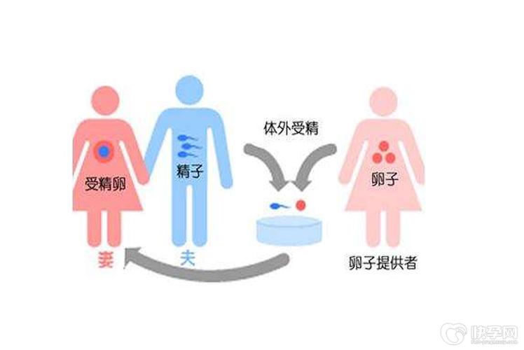 供卵去哪里做比较好【供卵去哪里做比较好？选择最佳供卵地点的指南】