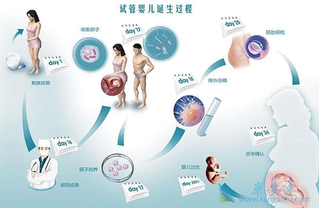 供卵试管婴儿的流程_供卵试管婴儿:全程流程解析