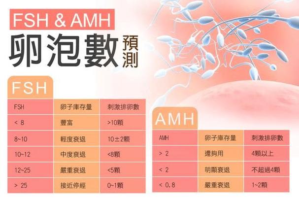 供卵代生男孩费用_供卵代生男孩费用:一窥代孕市场的真实成本