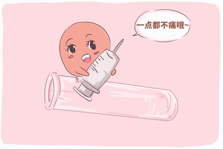 供卵试管有必要做无创检查吗_供卵试管:是否需要无创检查?