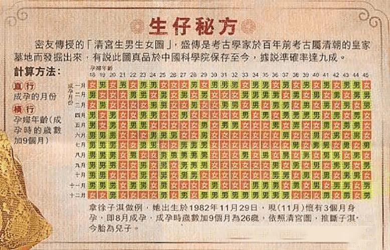 包生男孩明细-包生男孩明细解析:一窥包生男孩成长故事